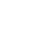 Toronto Raptors Logo