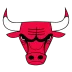 Chicago Bulls Logo